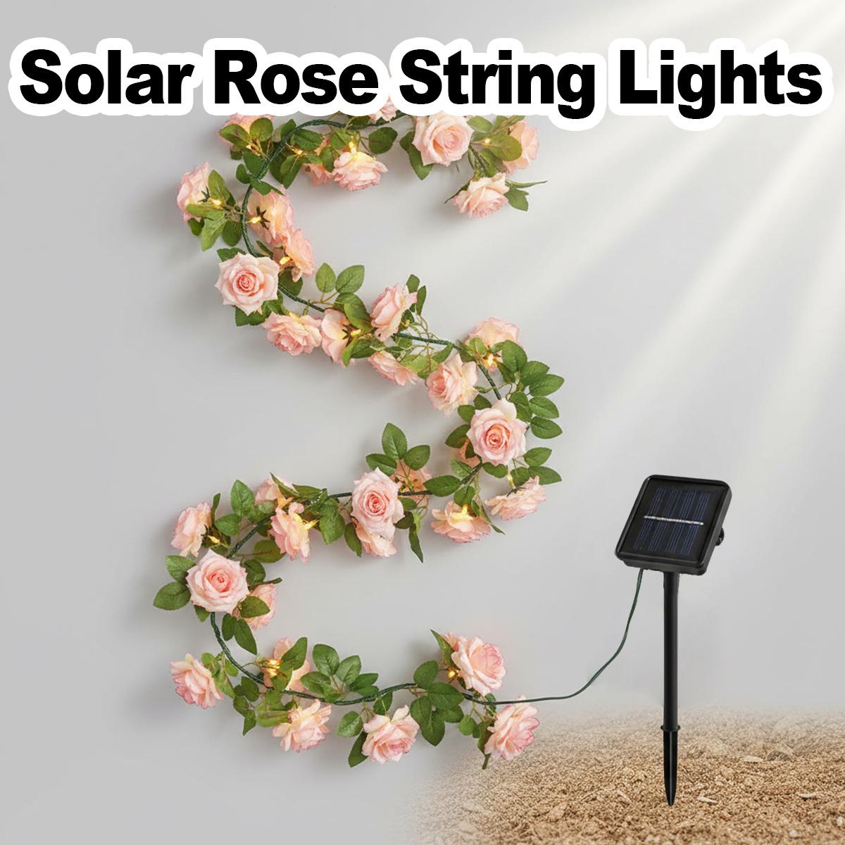 Solar Rose Vine String Light I - đánh giá và giá Solar Fairy String