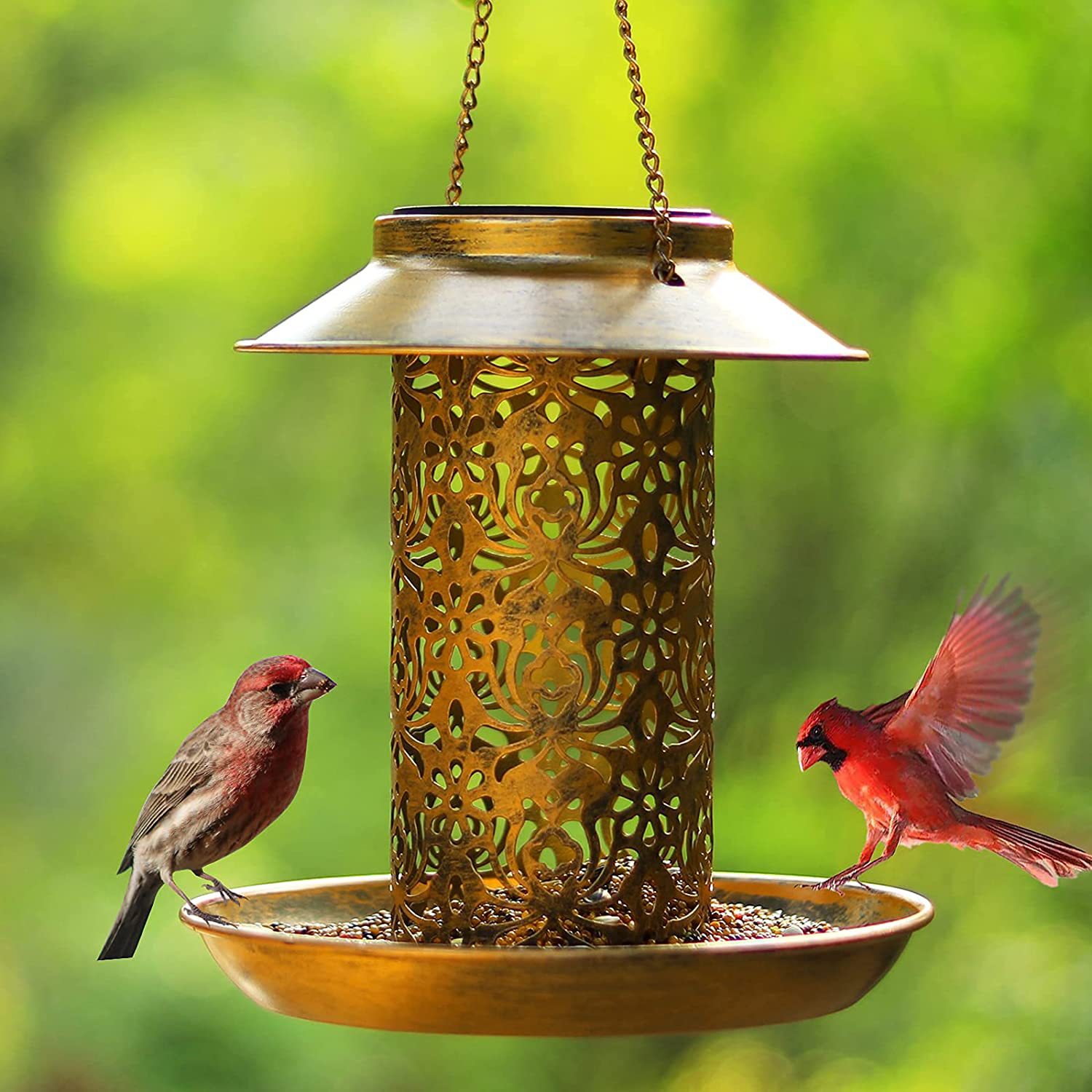 Hanging Bird House Metal Outdo - đánh giá và giá Outdoor Lighting Backyard Ideas